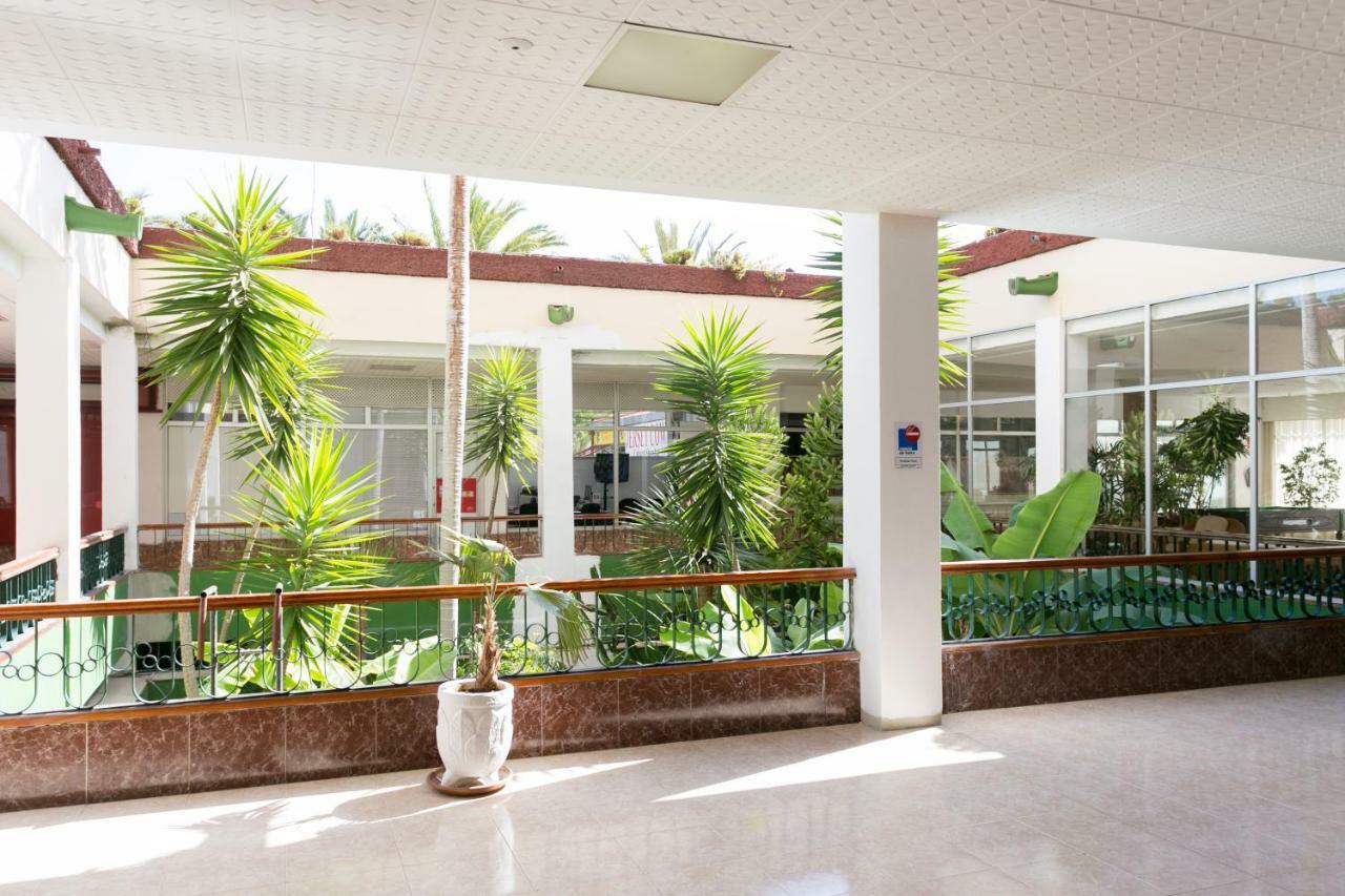 408 Enchanting El Dorado Accommodation, Sea View! Playa de las Americas  Exterior foto